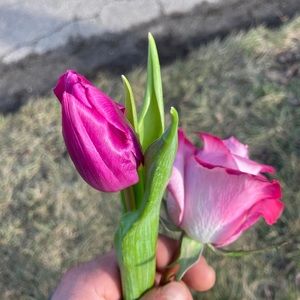 Meet your Posher, Shelly